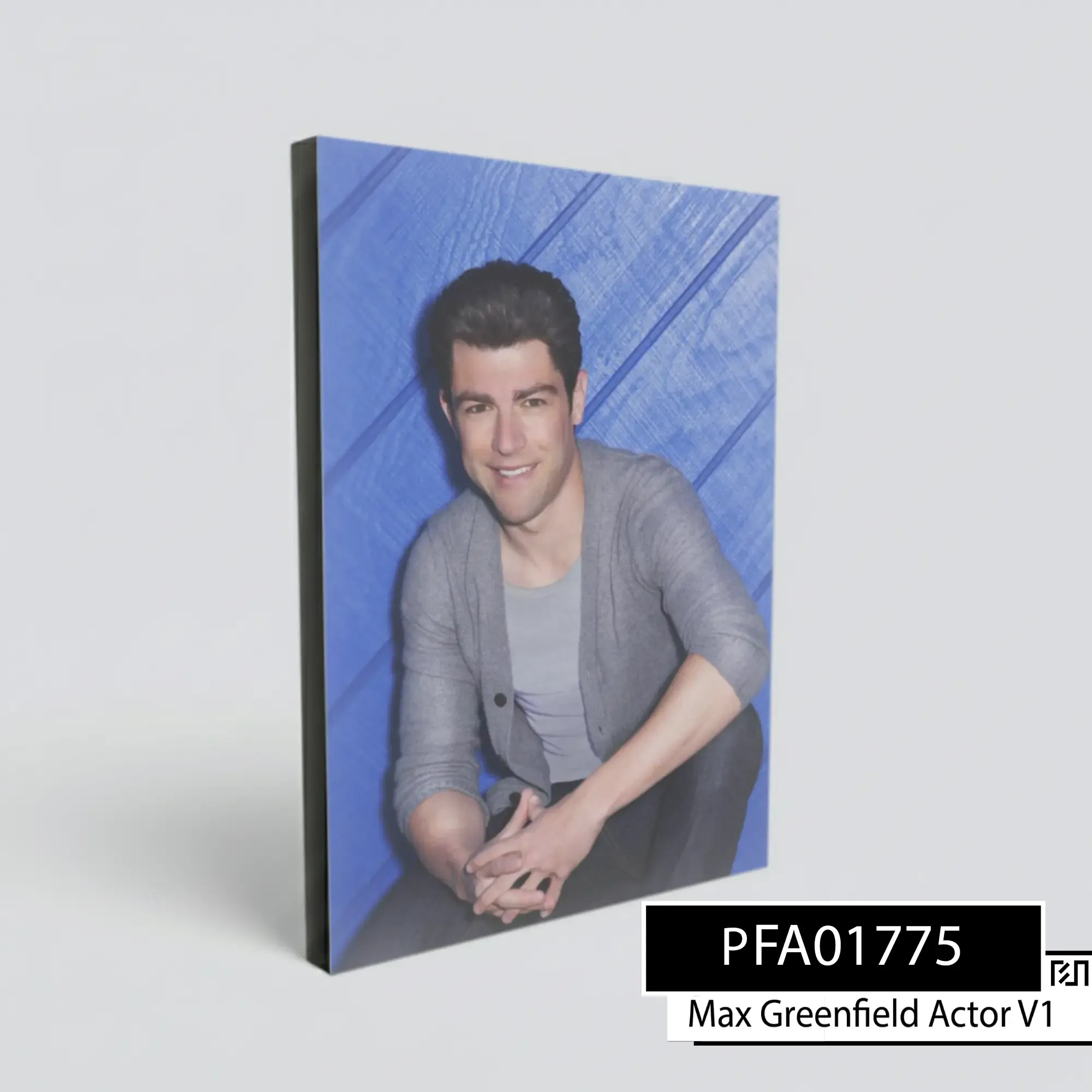 Cetak poster Aktor Max Greenfield PFA01775