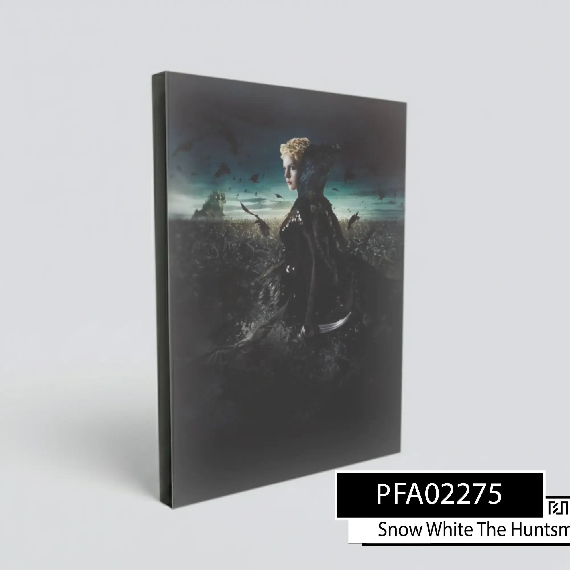 Kanji Seni Snow White and the Huntsman PFA02275