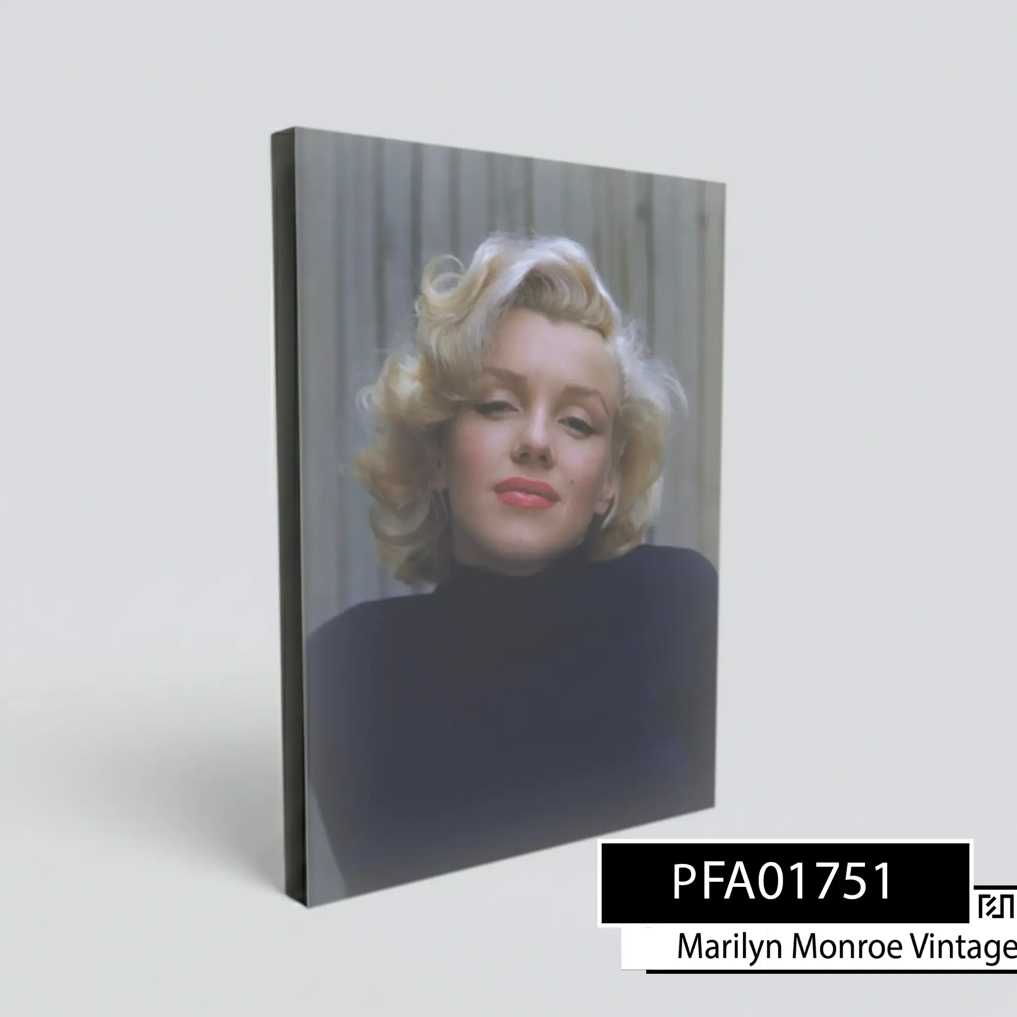 Lukisan poster Marilyn Monroe Vintage PFA01751