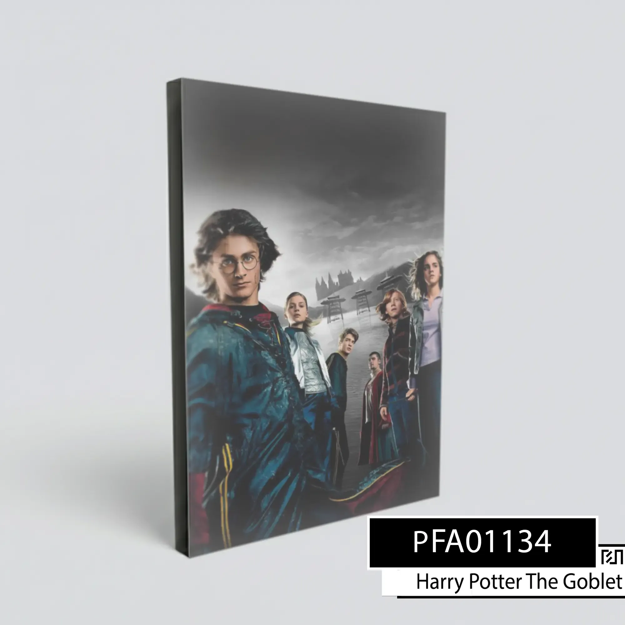 Poster Dinding Harry Potter and the Goblet of Fire