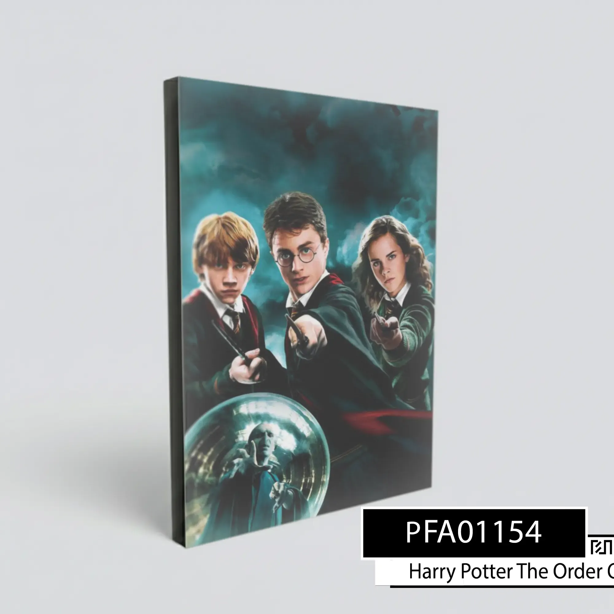 Poster Dinding Harry Potter Order of the Phoenix