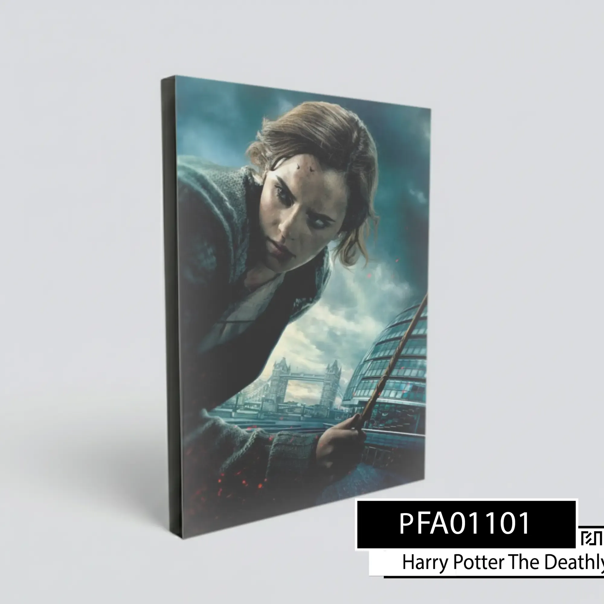 Poster Dinding Hermione Granger Harry Potter