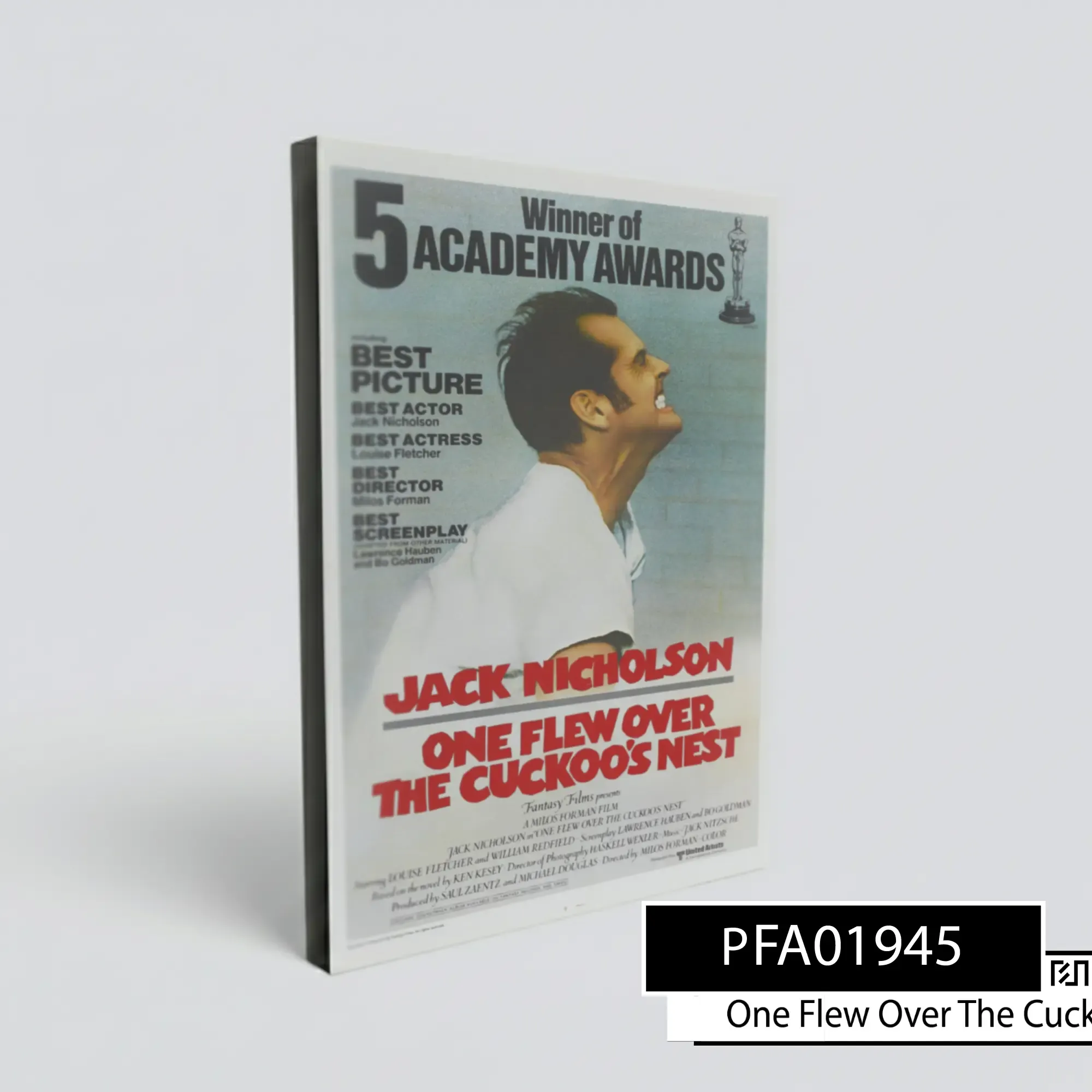 Poster Film Klasik One Flew Over the Cuckoo's Nest