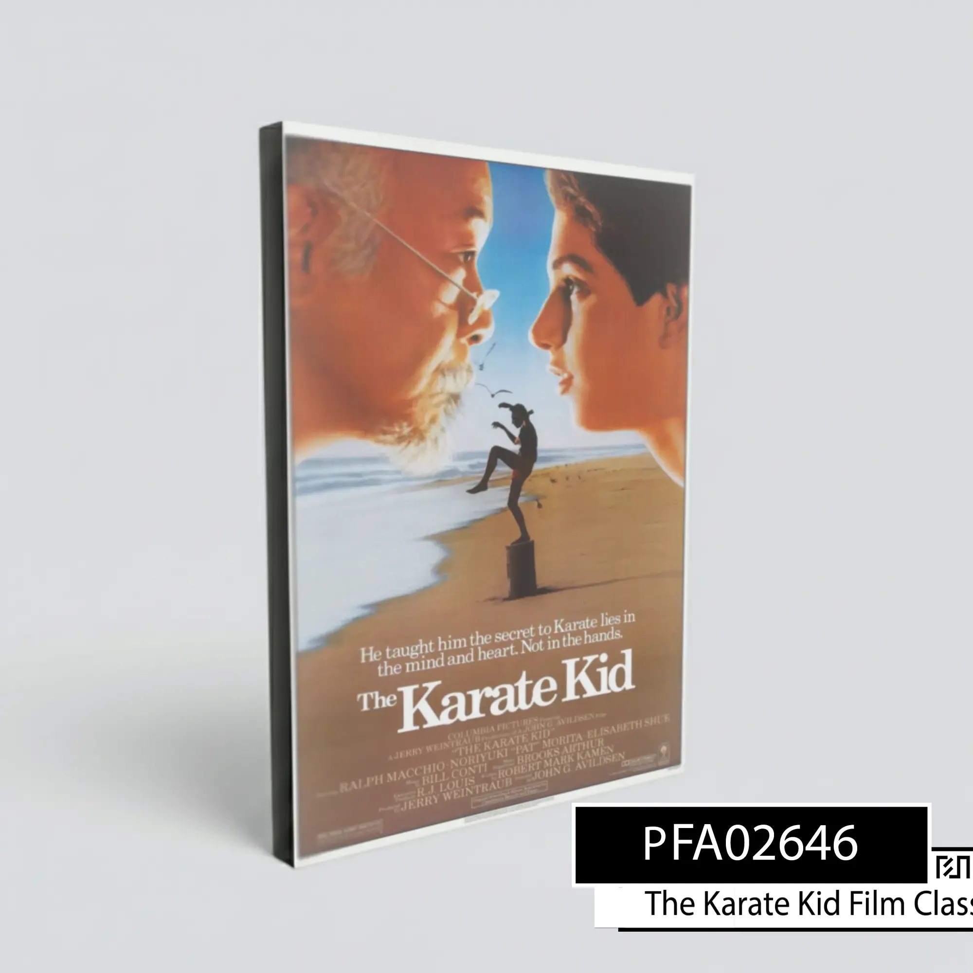 Poster Film Klasik The Karate Kid