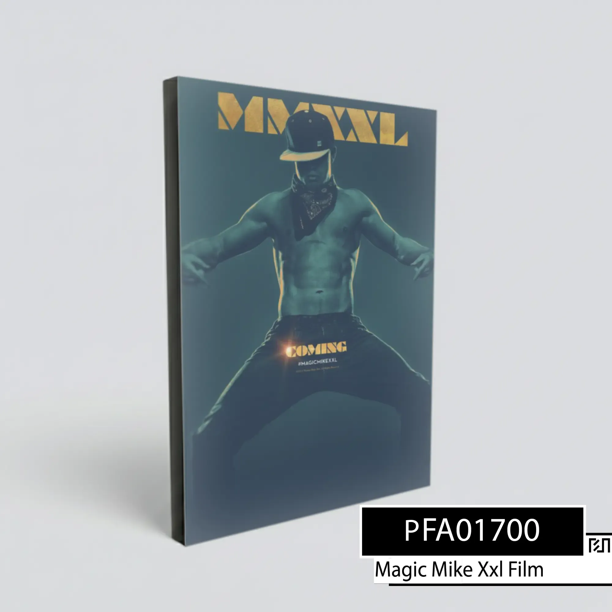 Poster Film Magic Mike XXL