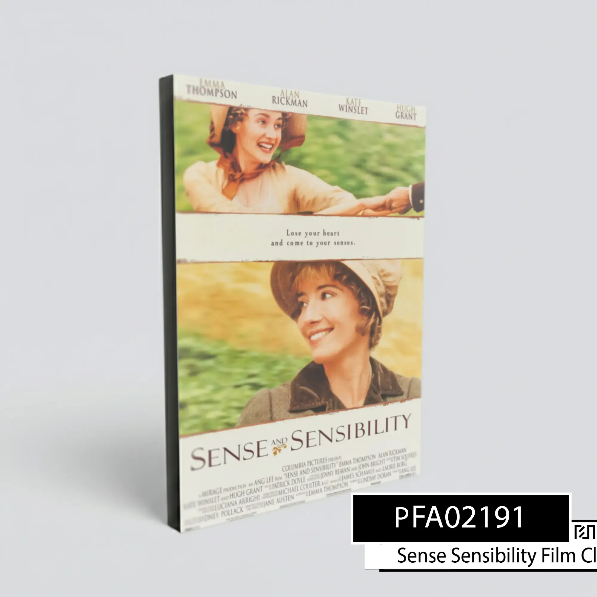Poster Film Sense and Sensibility