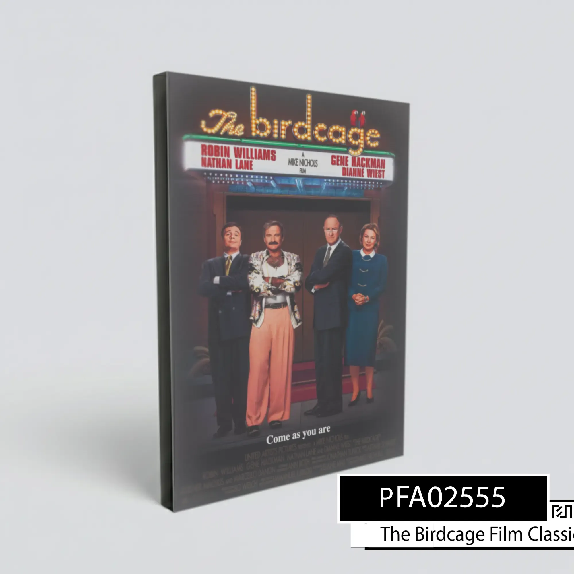 Poster Film The Birdcage (1996)