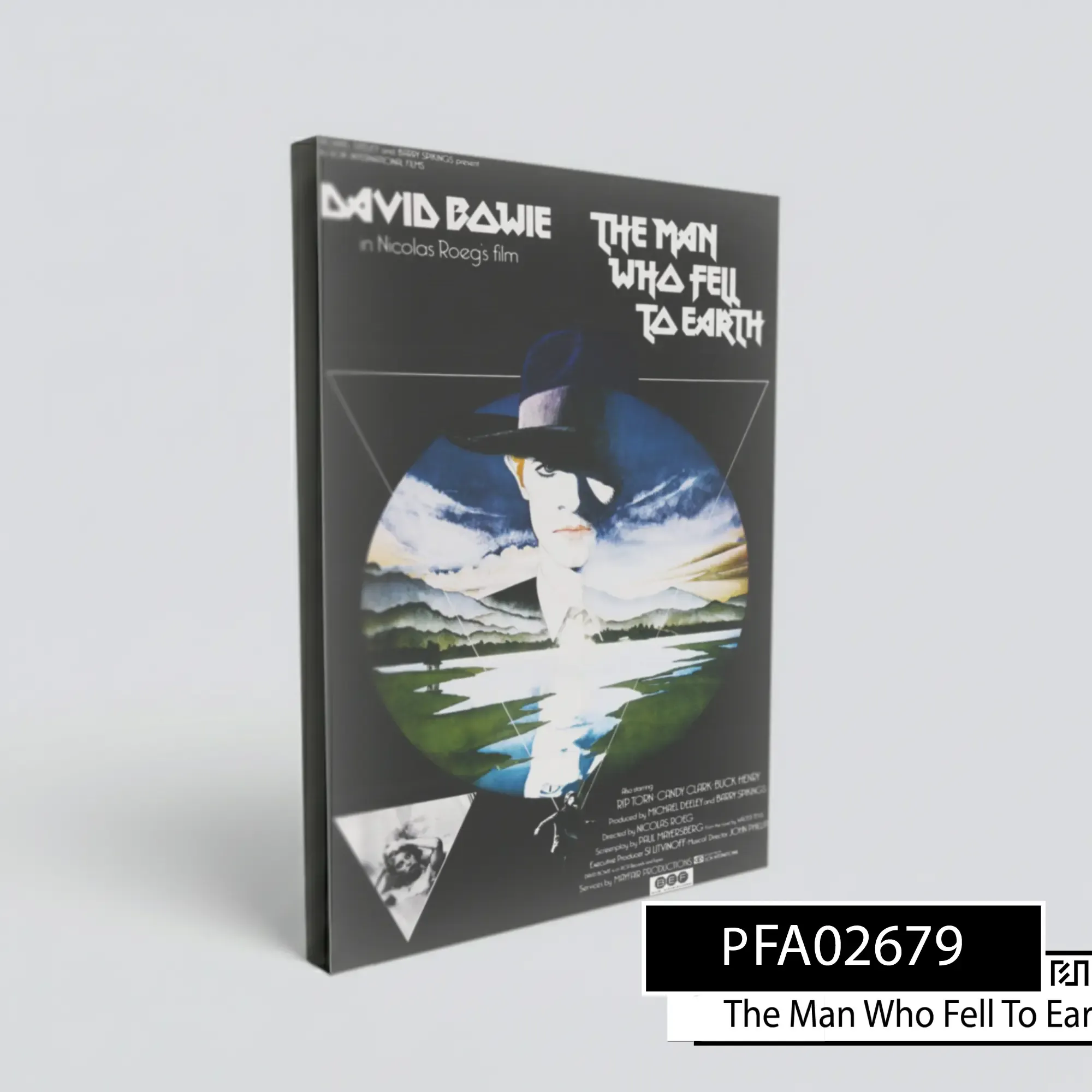 Poster Film The Man Who Fell To Earth David Bowie