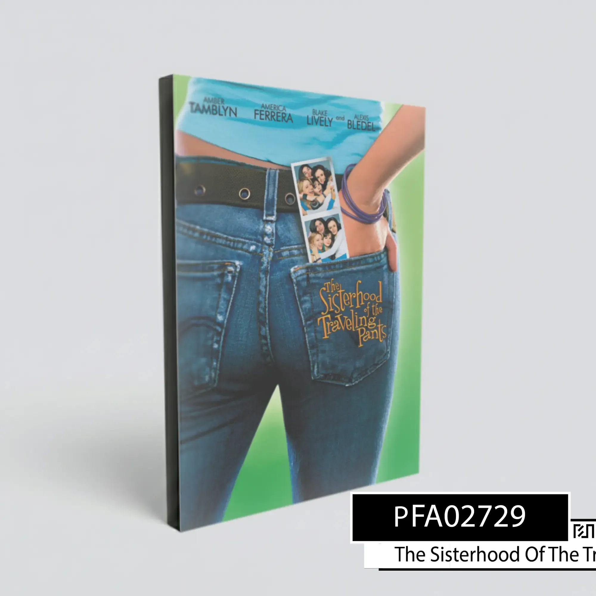 Poster Film The Sisterhood of the Traveling Pants