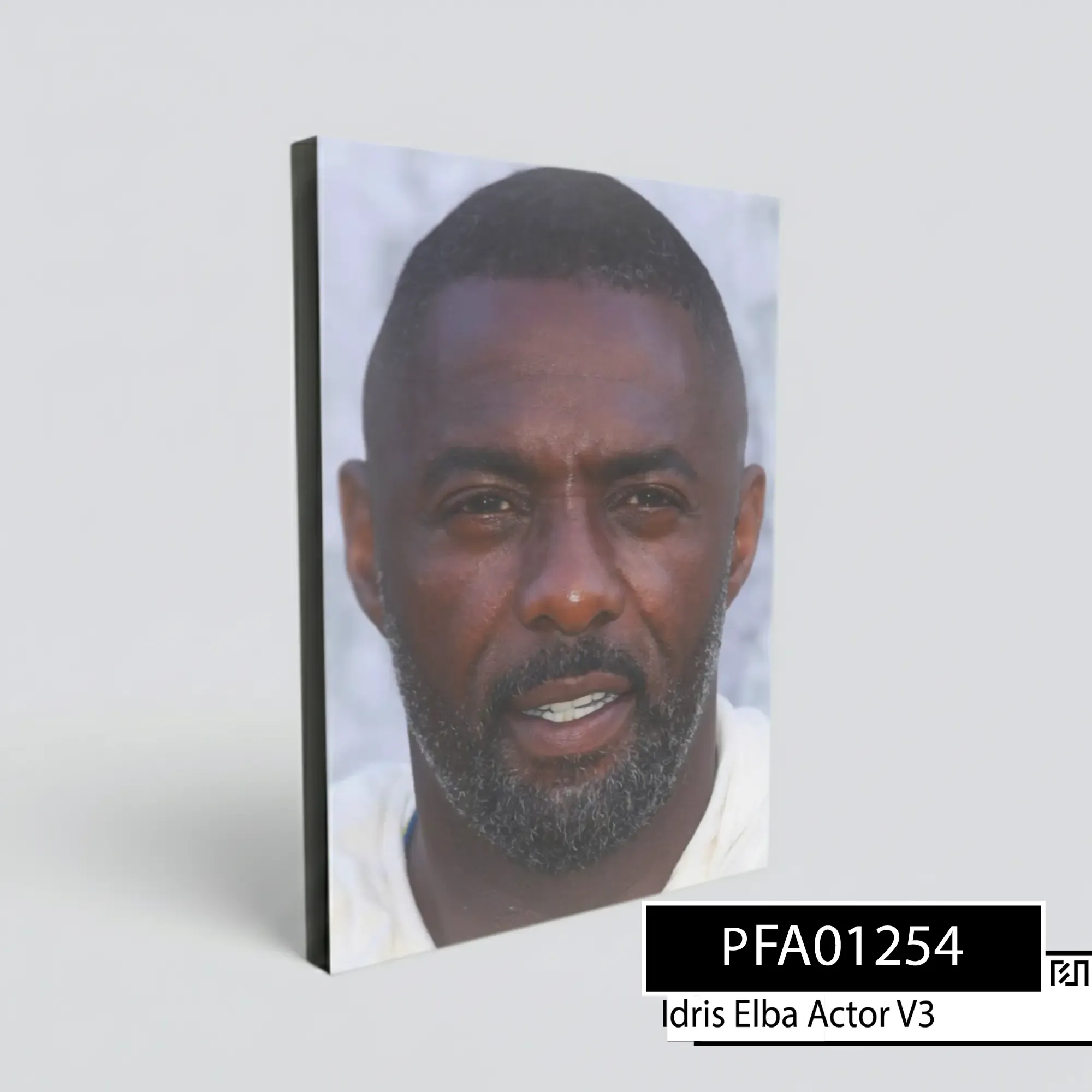 poster Gambar Aktor Idris Elba PFA01254