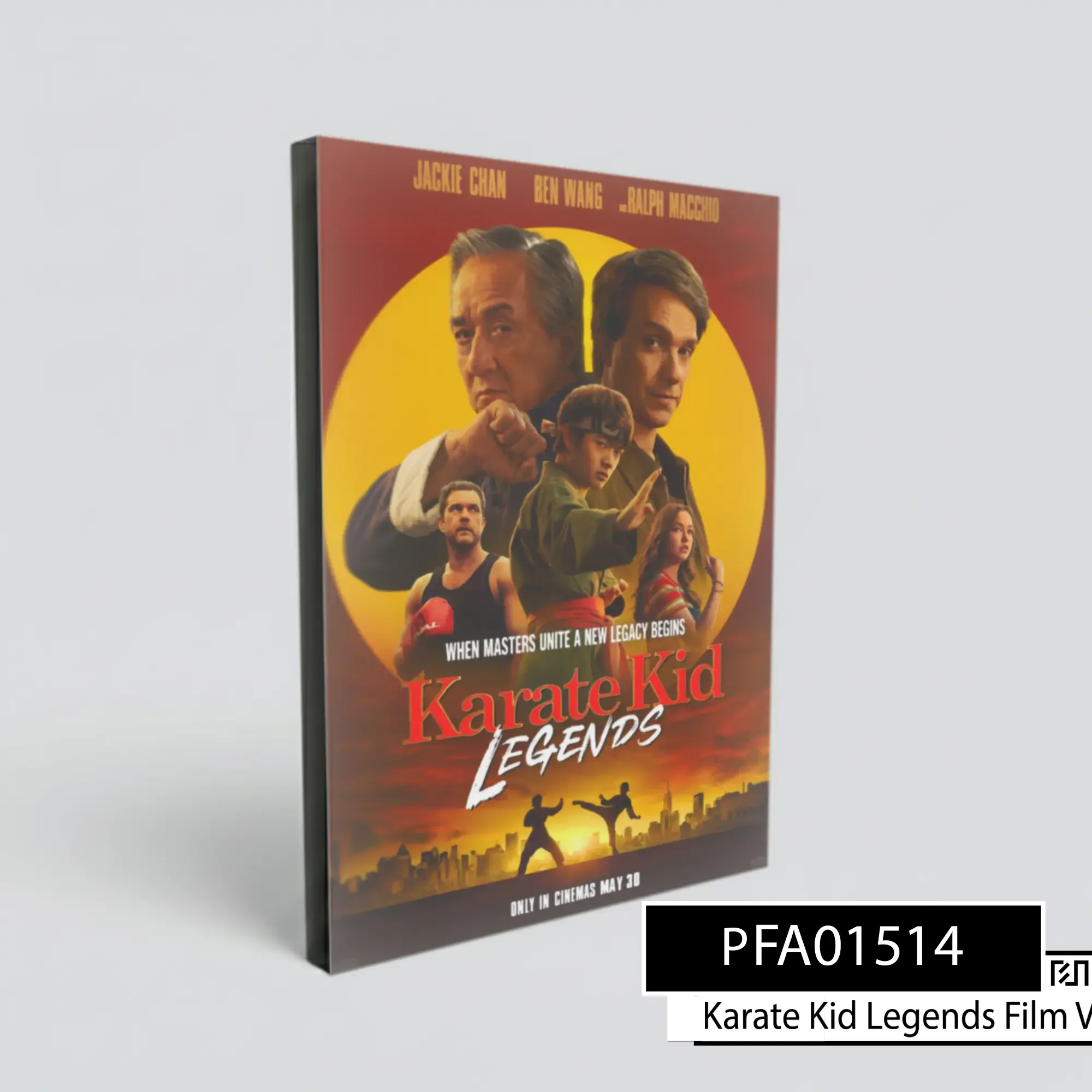 Poster Kayu Film Karate Kid Legends Hiasan Dinding