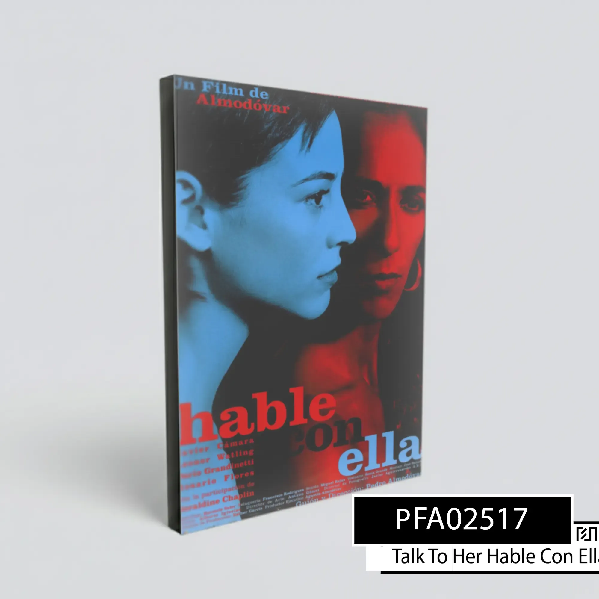 Poster poster Film Hable con ella Pedro Almodovar