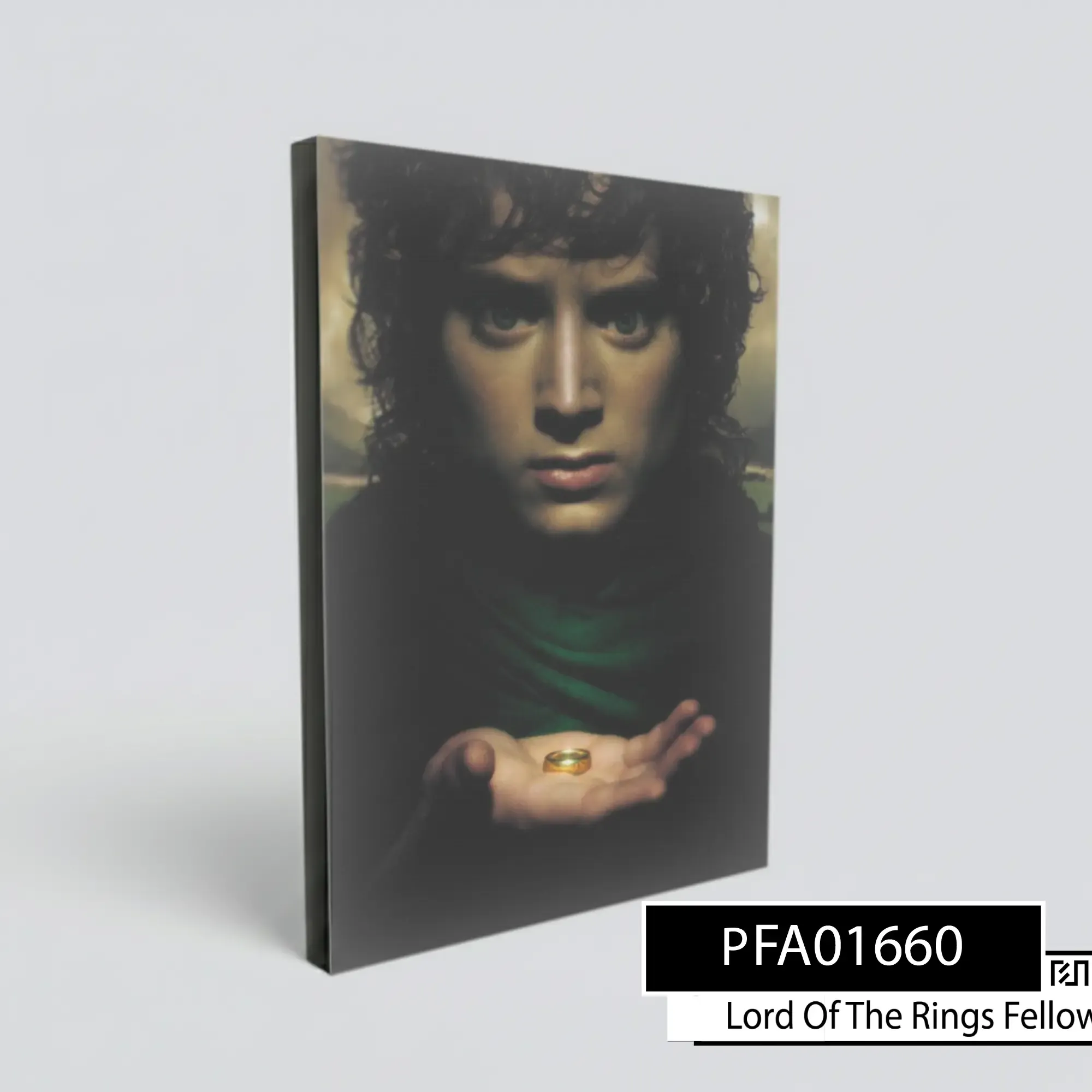 Poster poster Frodo Baggins The Lord of the Rings