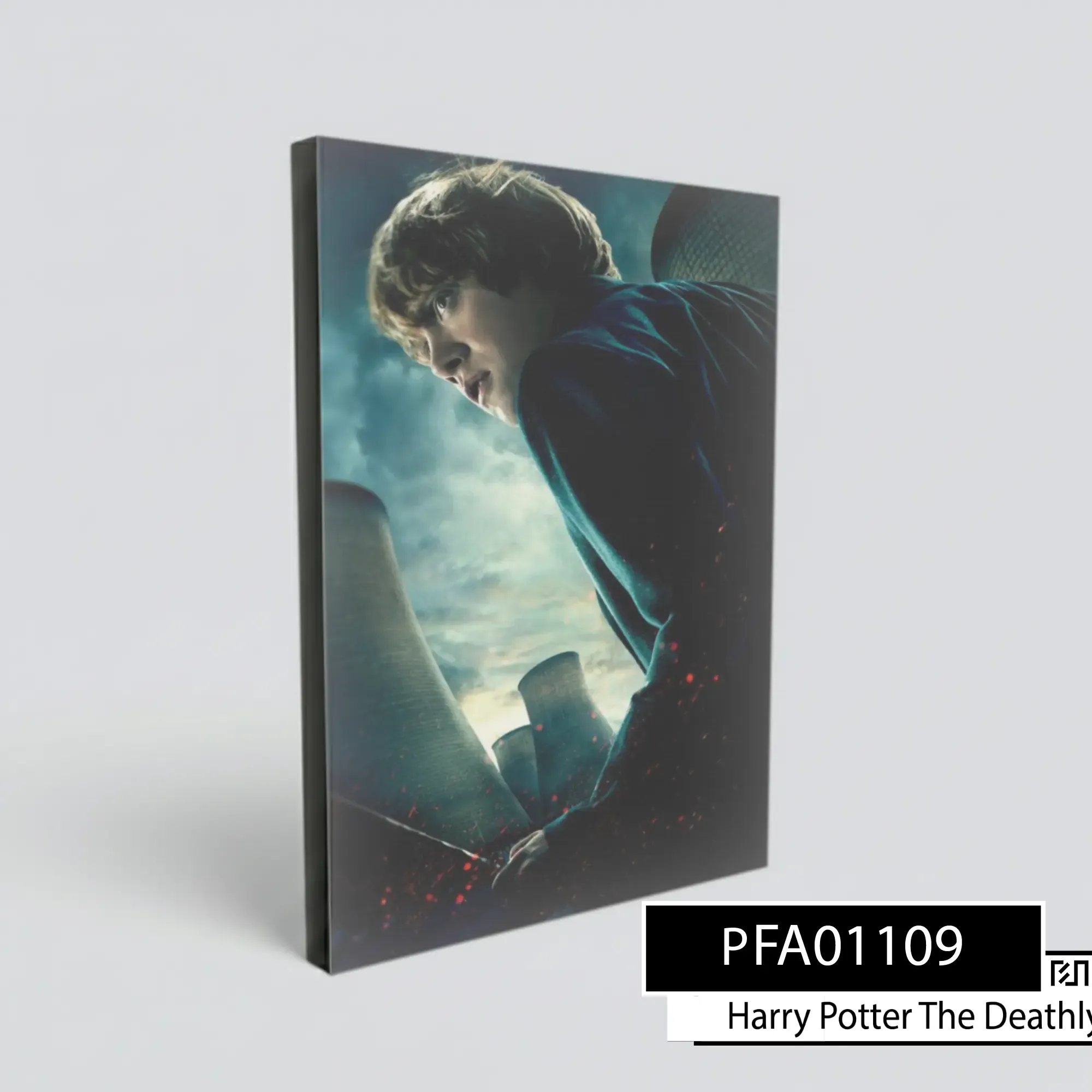 Poster poster Harry Potter Ron Weasley PFA01109