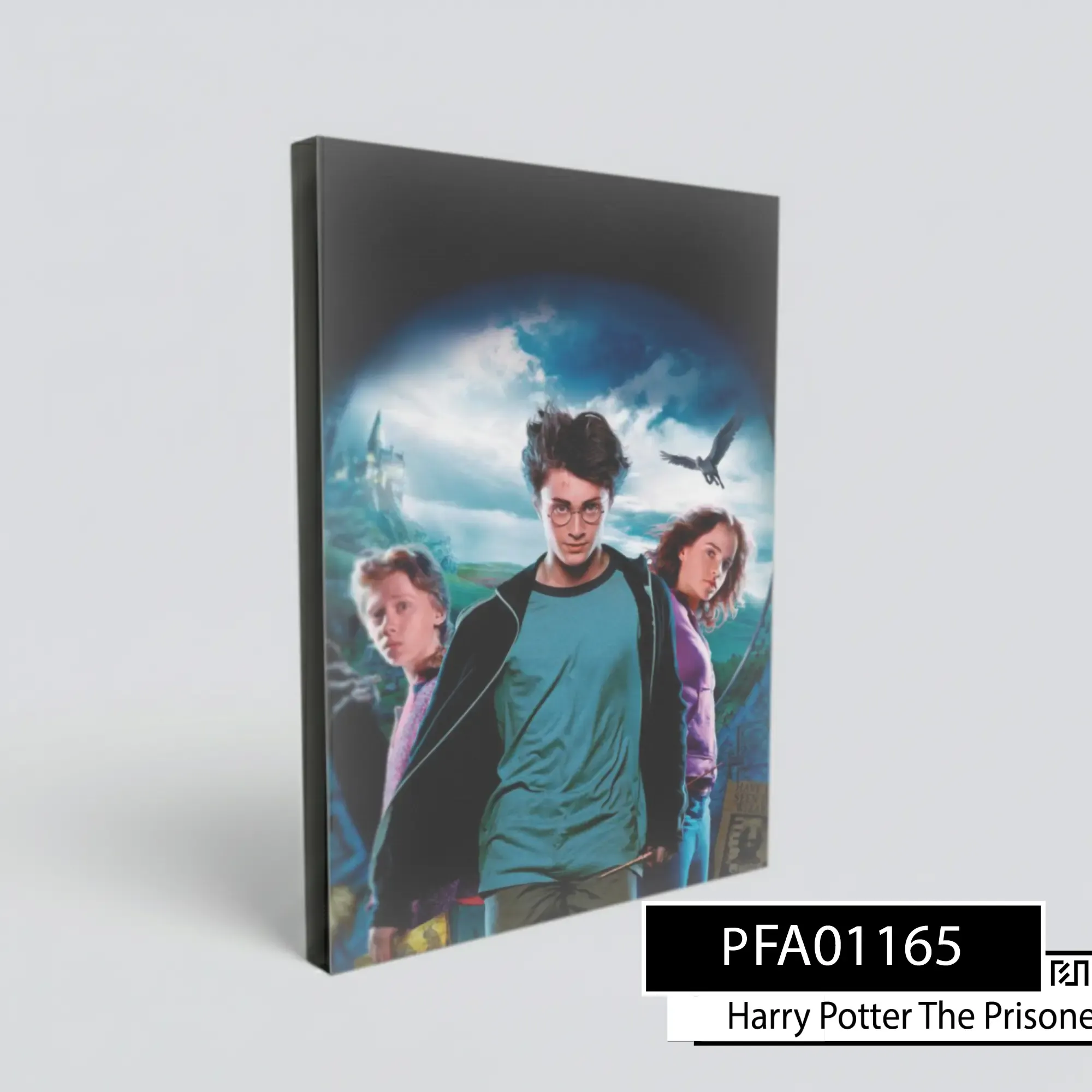 Poster poster Harry Potter The Prisoner of Azkaban