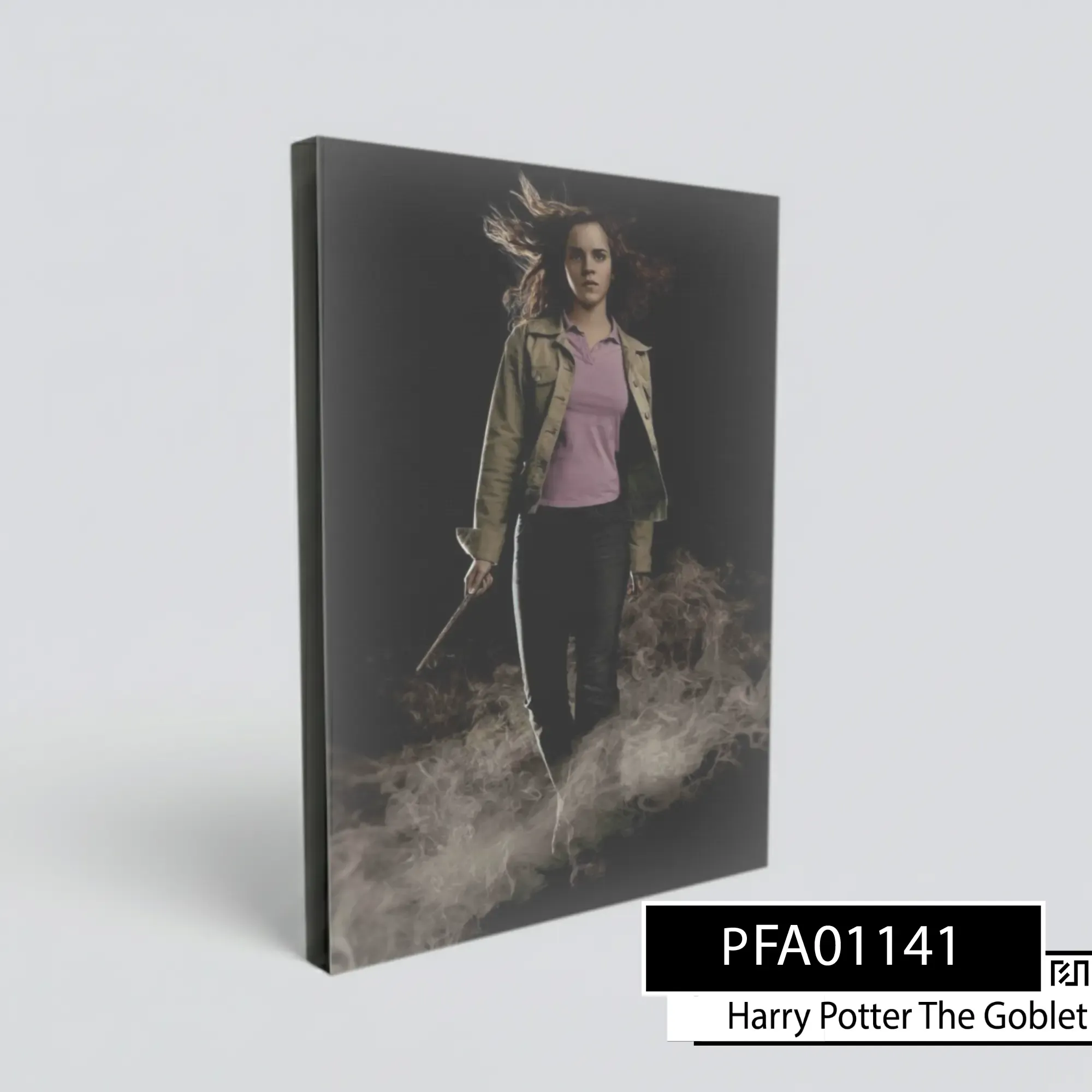 Poster poster Hermione Granger Harry Potter