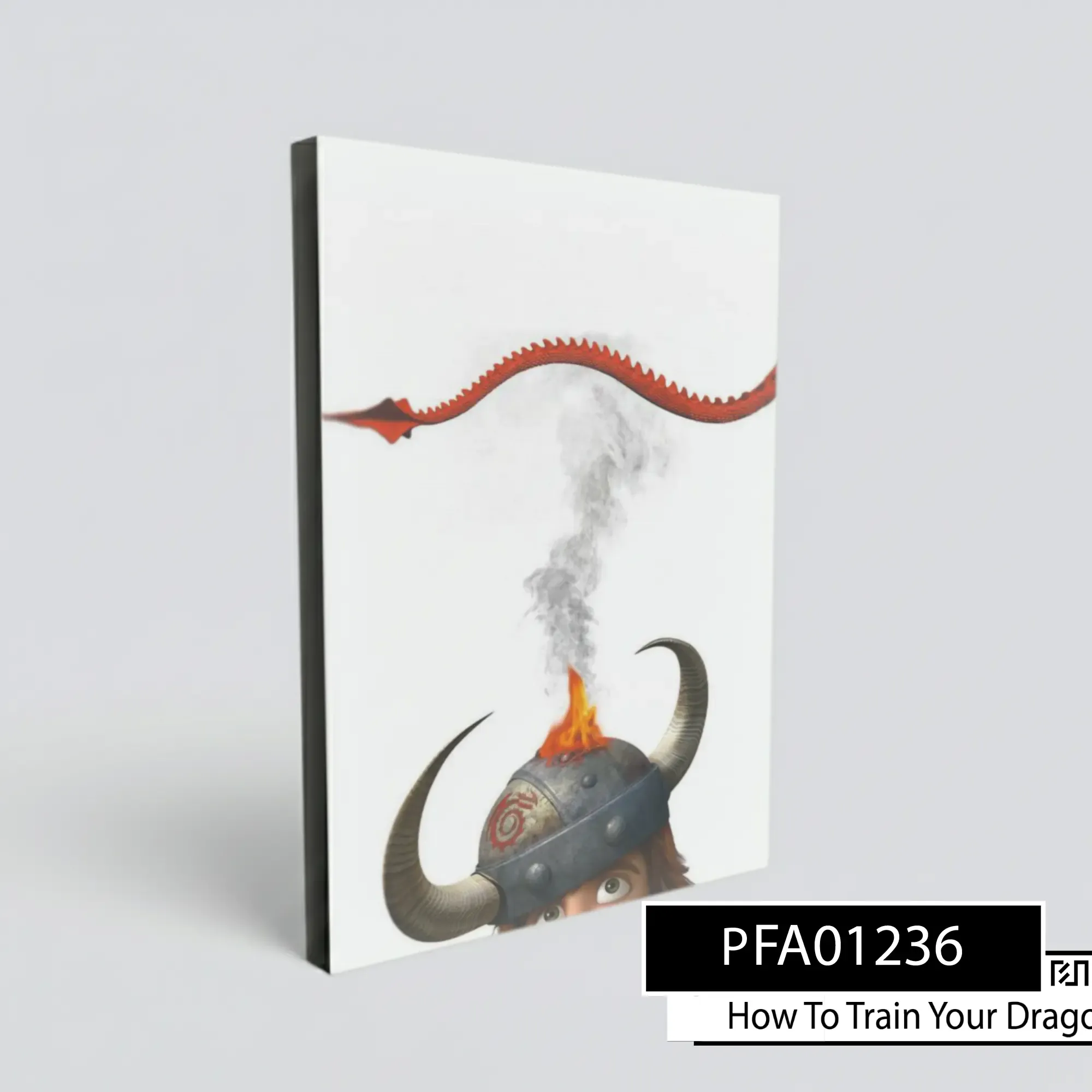 Poster poster How to Train Your Dragon PFA01236