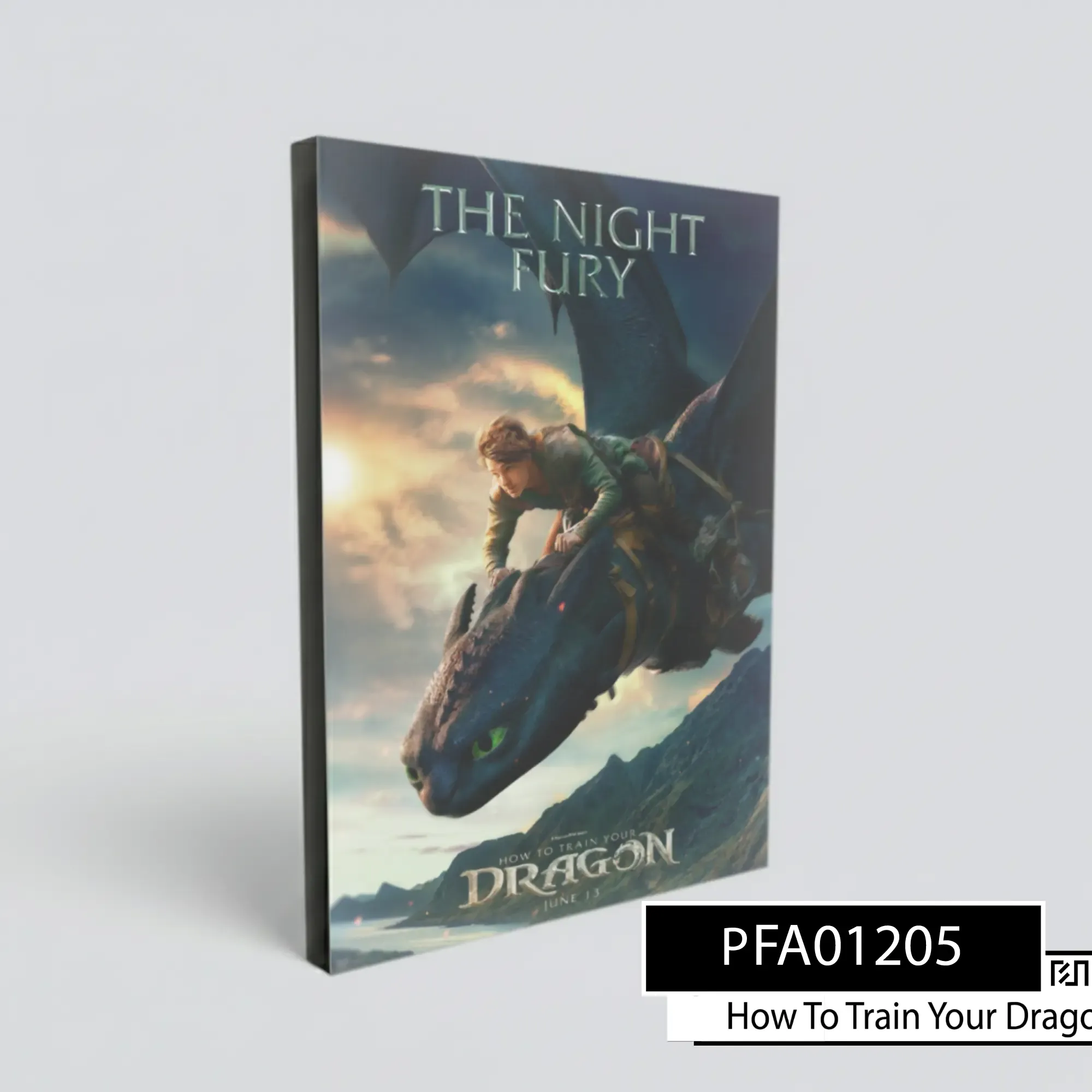 Poster poster How To Train Your Dragon: The Night Fury