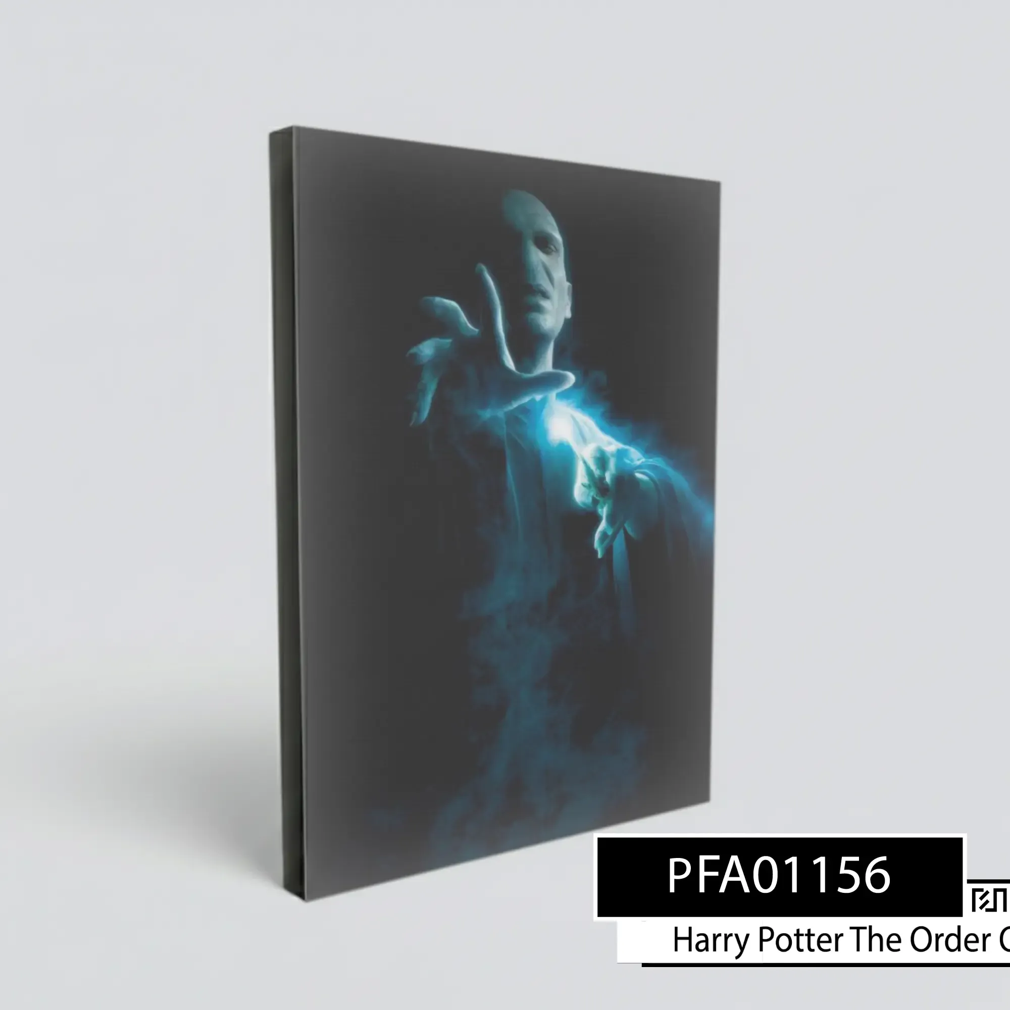 Poster poster Lord Voldemort Harry Potter