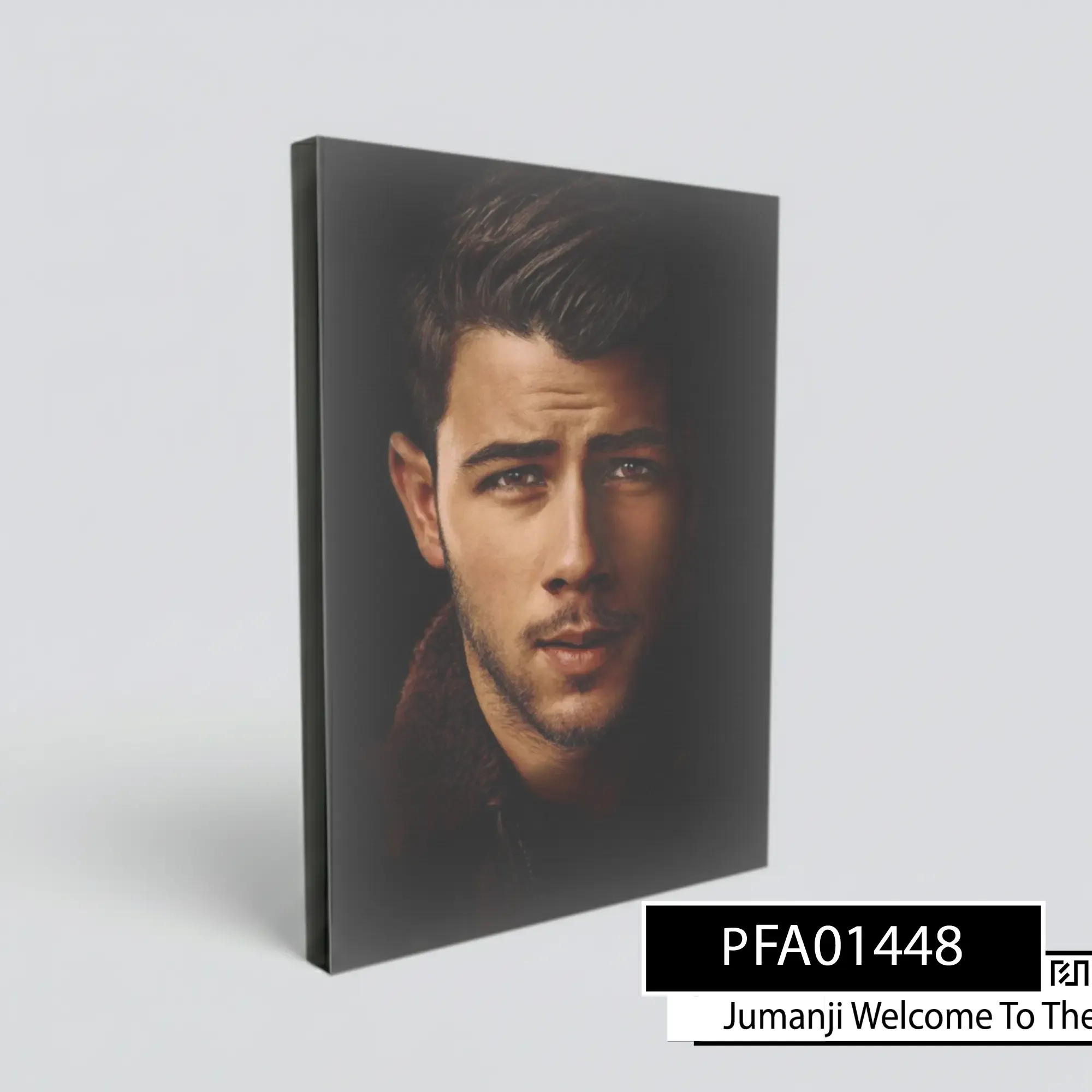 Poster poster Nick Jonas PFA01448