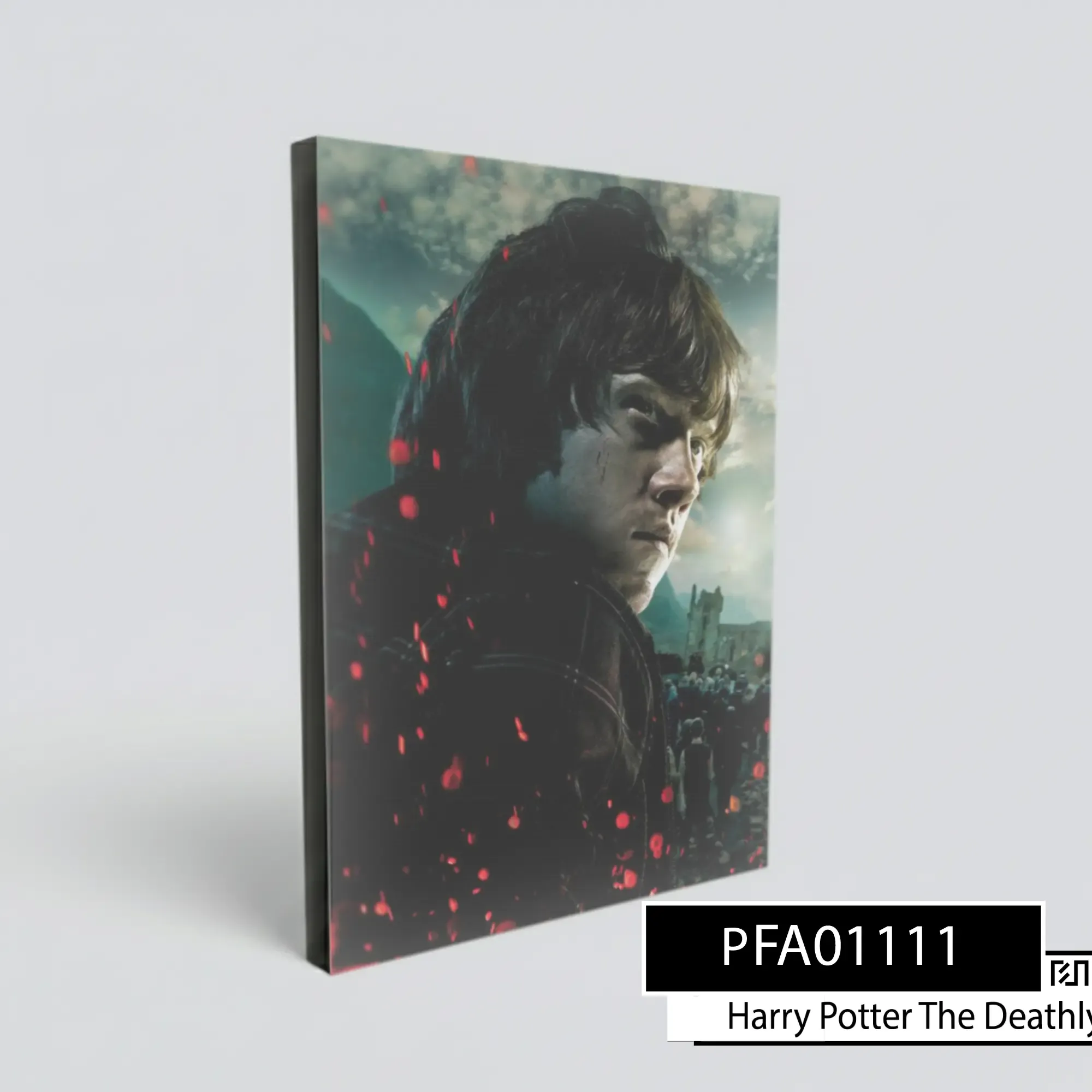 Poster poster Ron Weasley Harry Potter Deathly Hallows