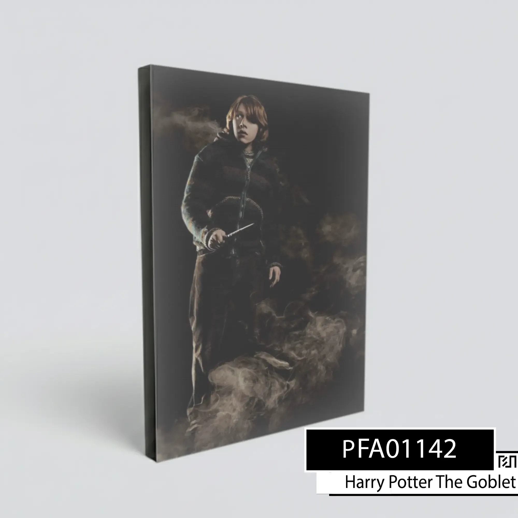 Poster poster Ron Weasley Harry Potter
