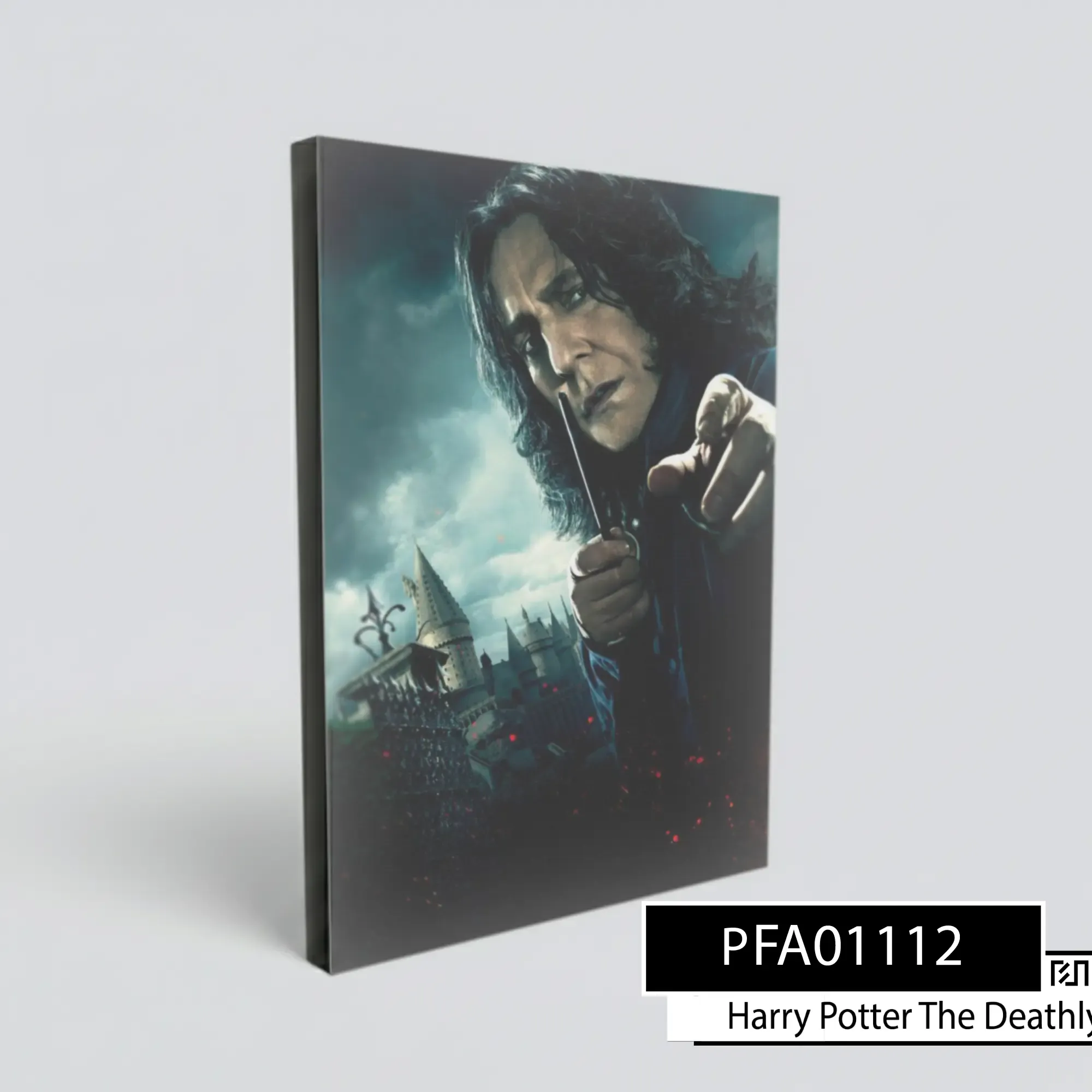 Poster poster Severus Snape Harry Potter PFA01112