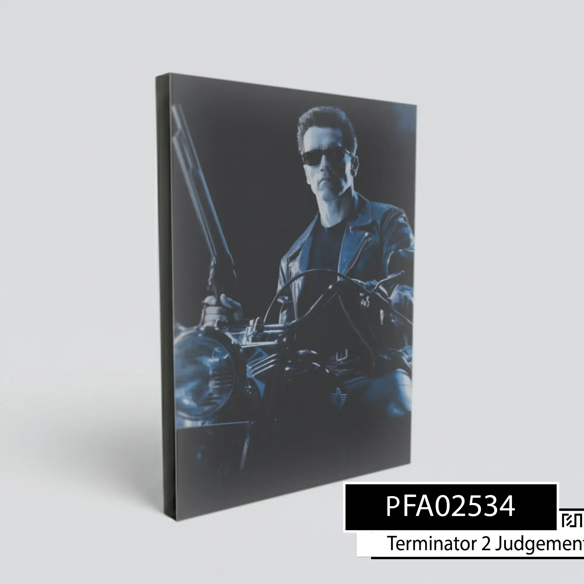 Poster poster Terminator 2 Judgement Day Arnold Schwarzenegger