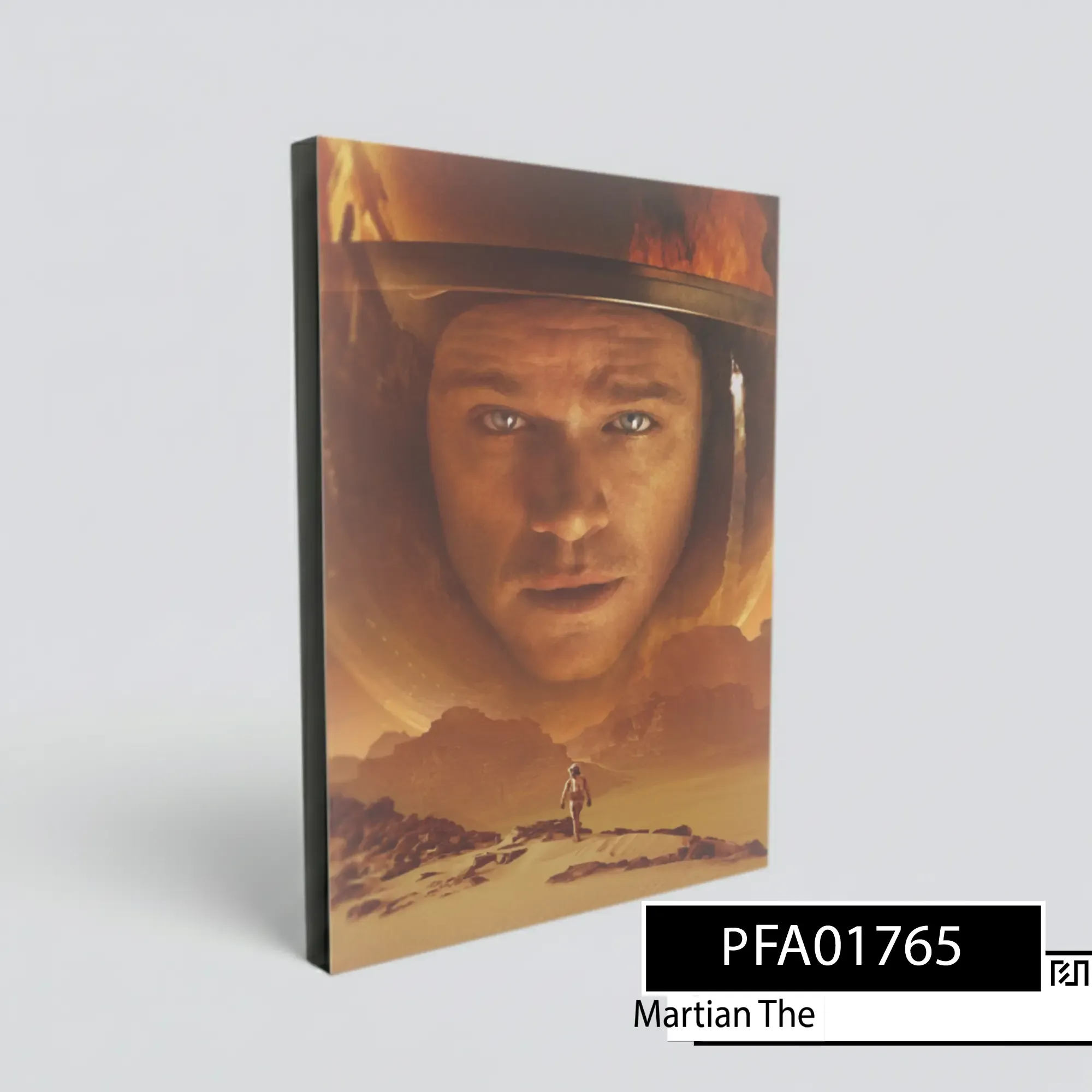 Poster poster The Martian