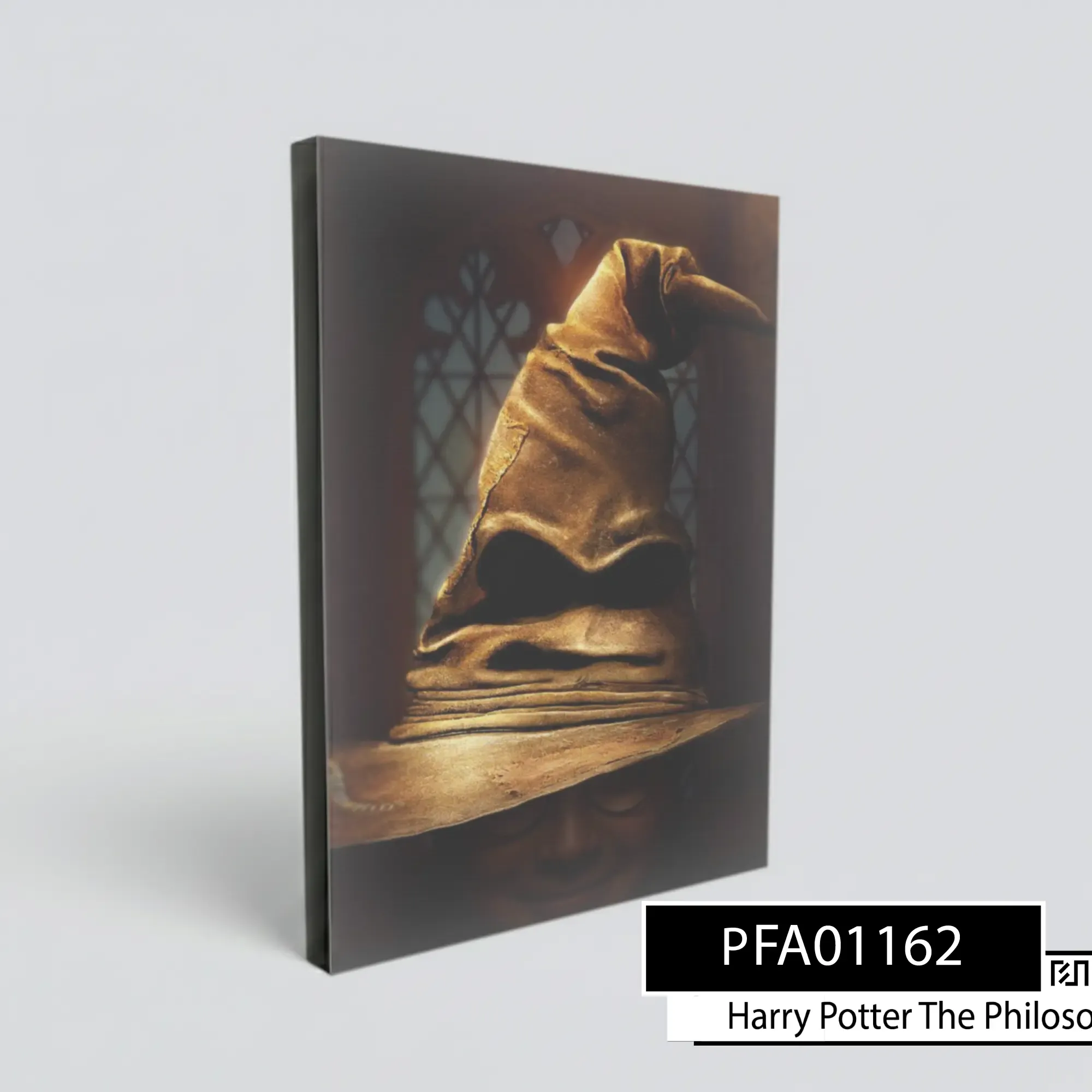 Poster poster Topi Seleksi Harry Potter