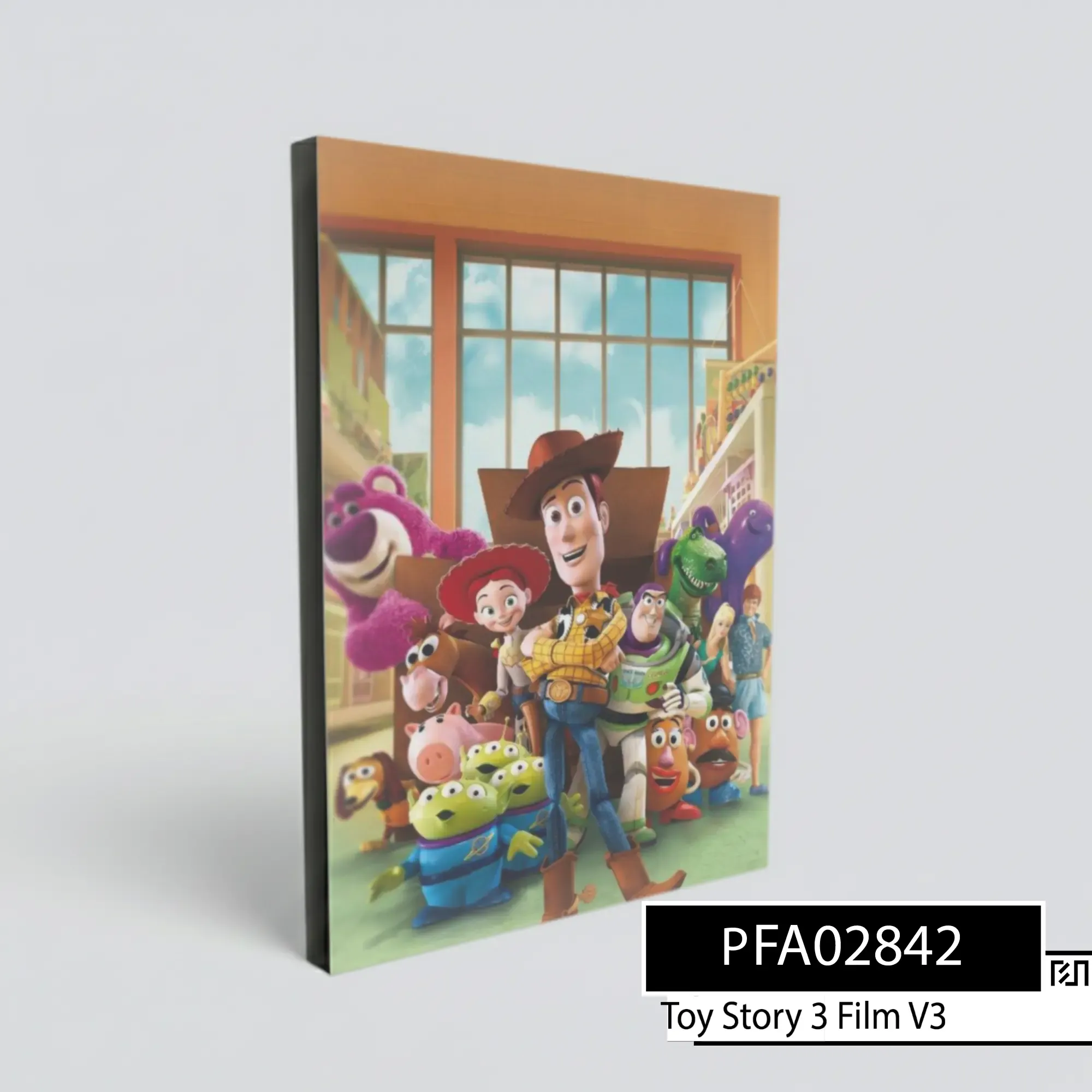 Poster poster Toy Story 3 PFA02842