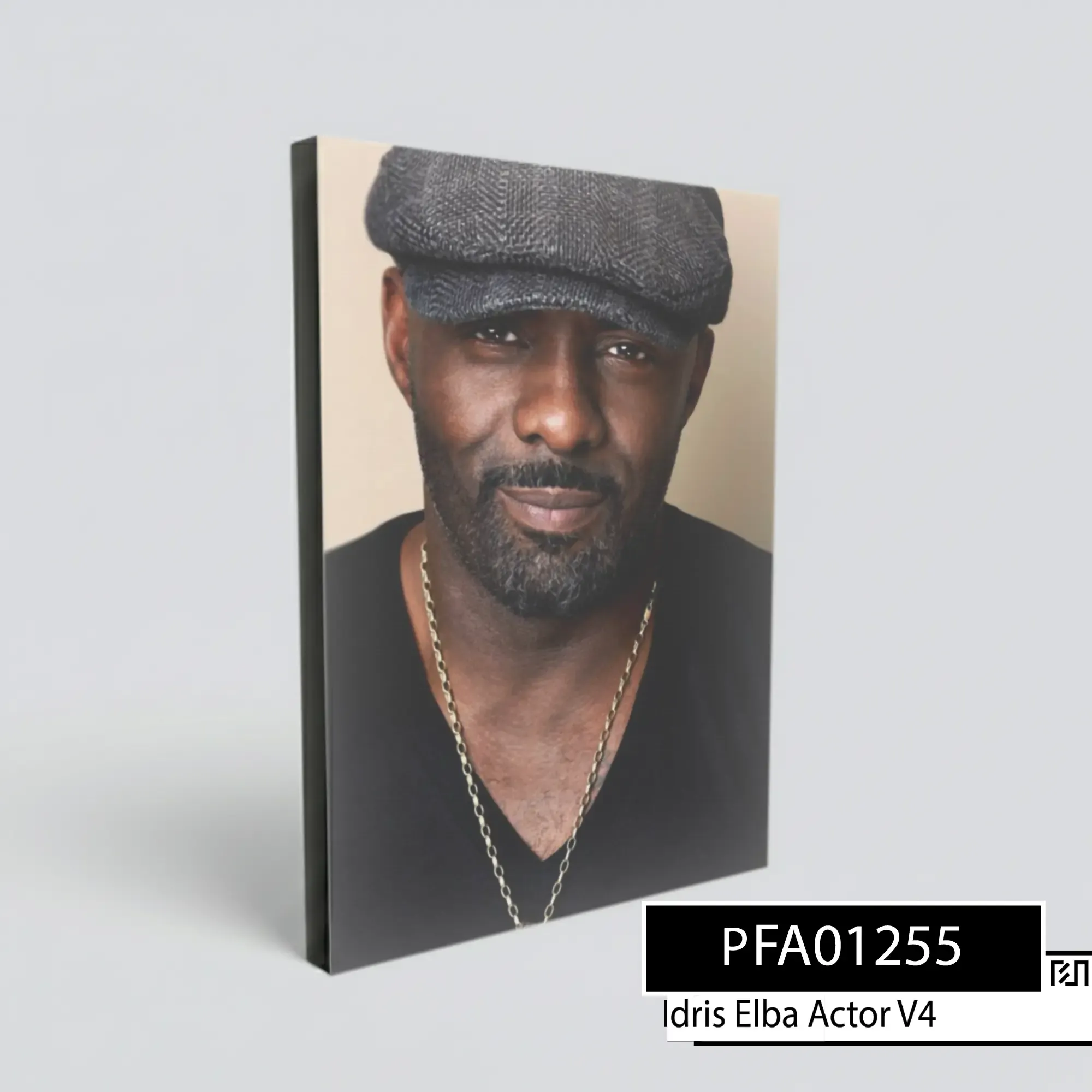 poster Potret Aktor Idris Elba PFA01255