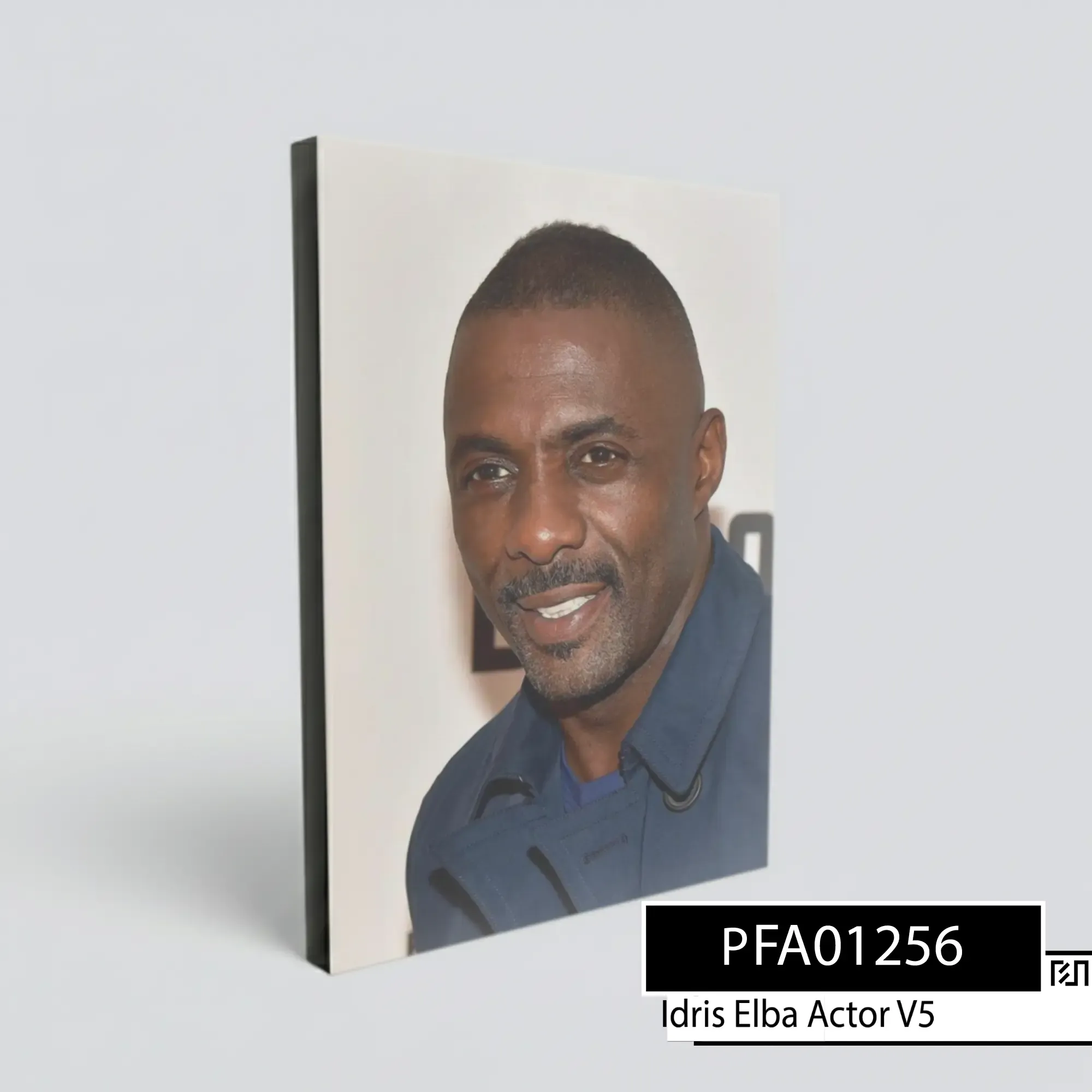 poster Potret Aktor Idris Elba PFA01256