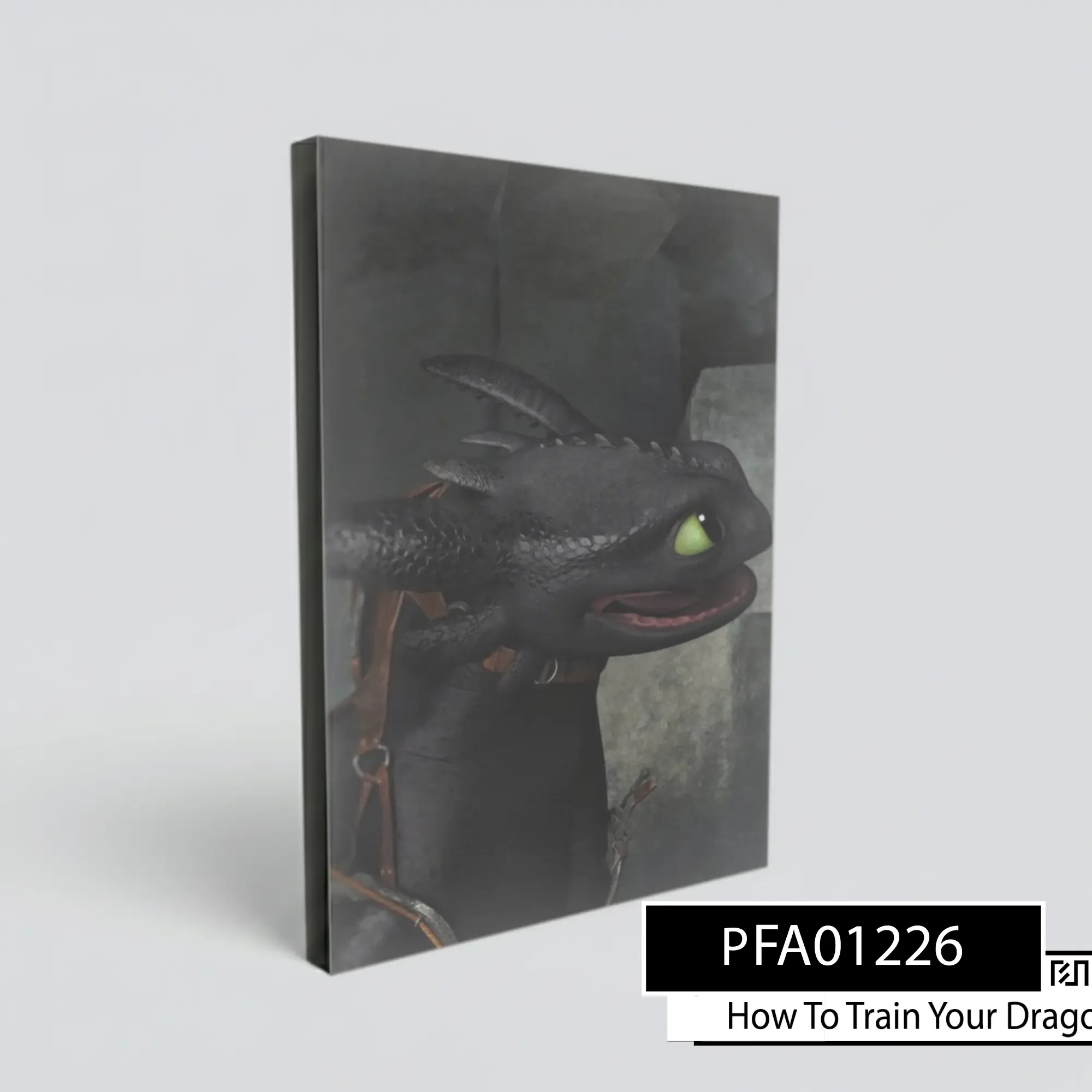 poster Toothless How To Train Your Dragon